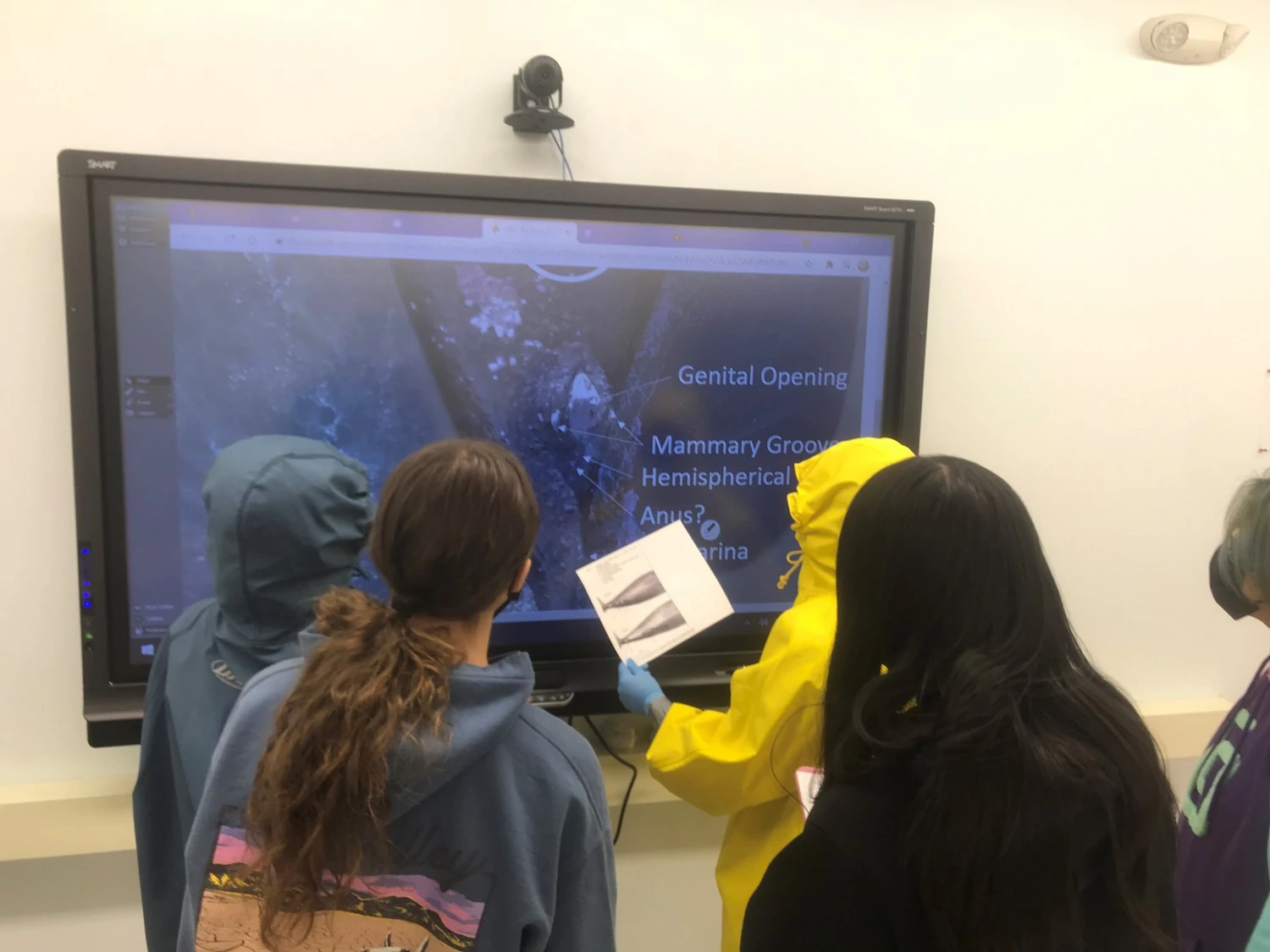 Virtual necropsy lesson